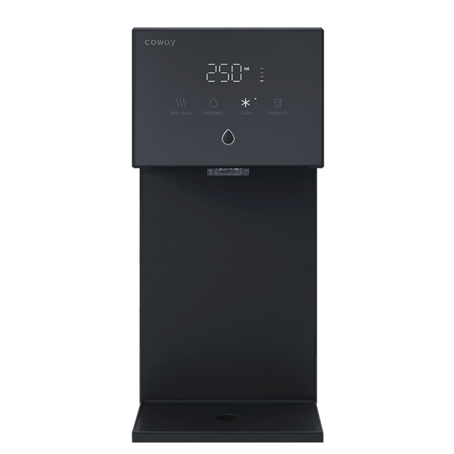 Water Purifier - coway